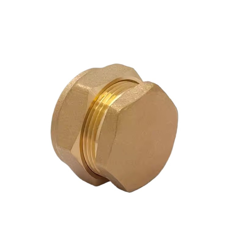 Messing-Kartenhülsenstopfen, 1 – Compression Fitting Brass Bewertung und Preis
